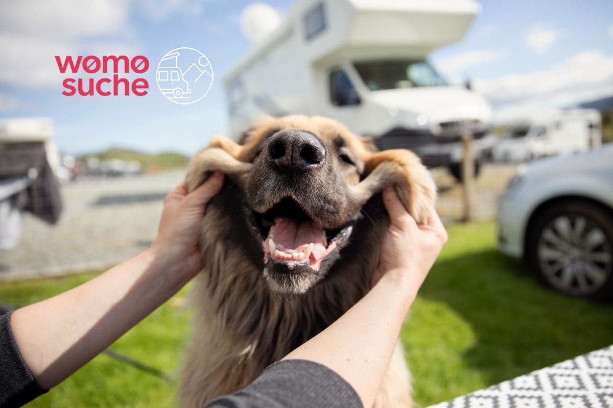Hundezaun für den Campingurlaub im Wohnmobil