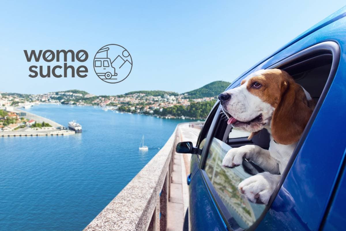 Mit dem Hund im Wohnmobil unterwegs - Bijous Reise nach Südfrankreich