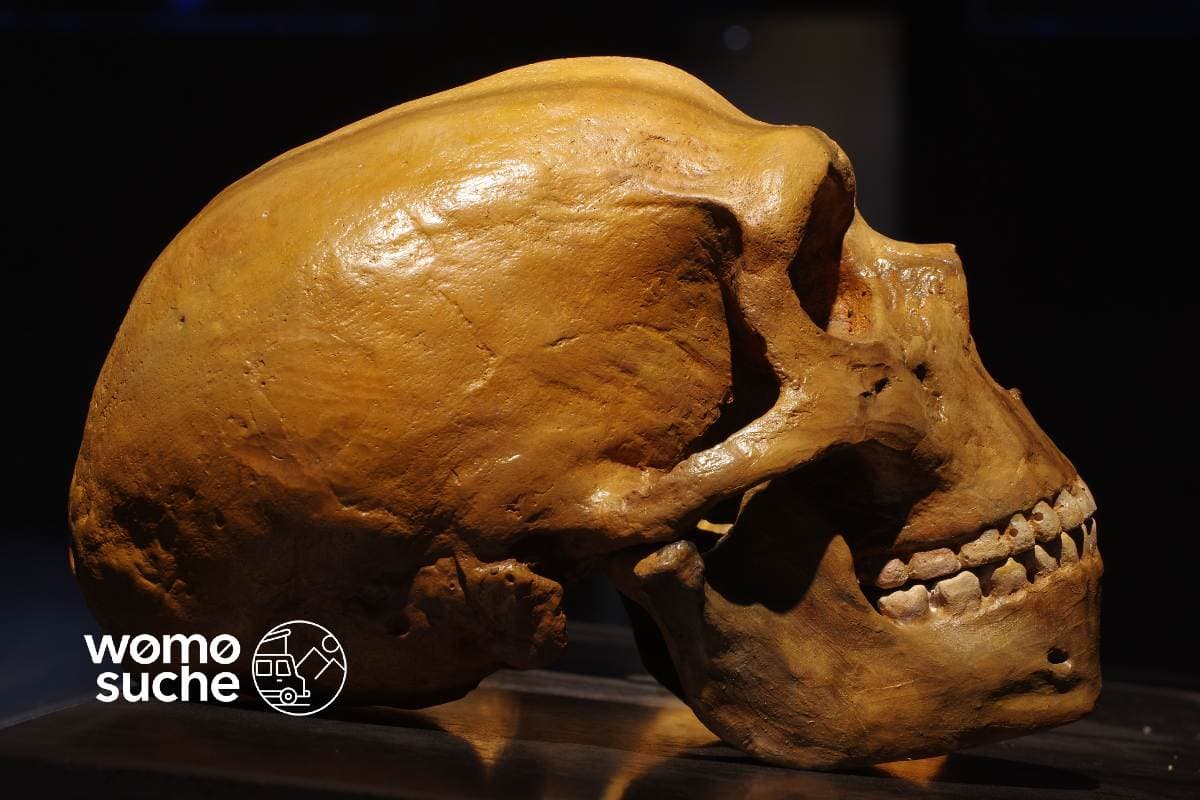 Mit dem Wohnmobil ins Neandertal - Spaß für die ganze Familie