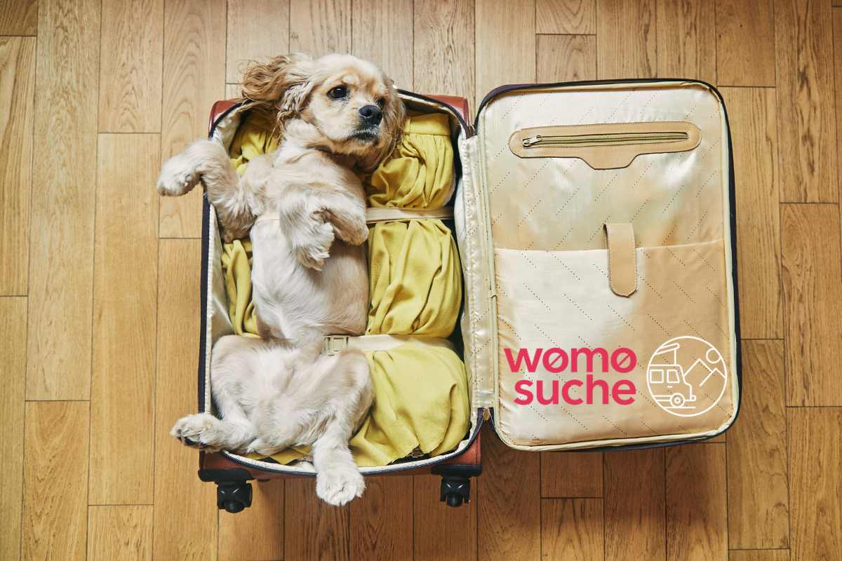 Reisen mit dem Hund - welche Einreisebestimmungen gelten in Europa?