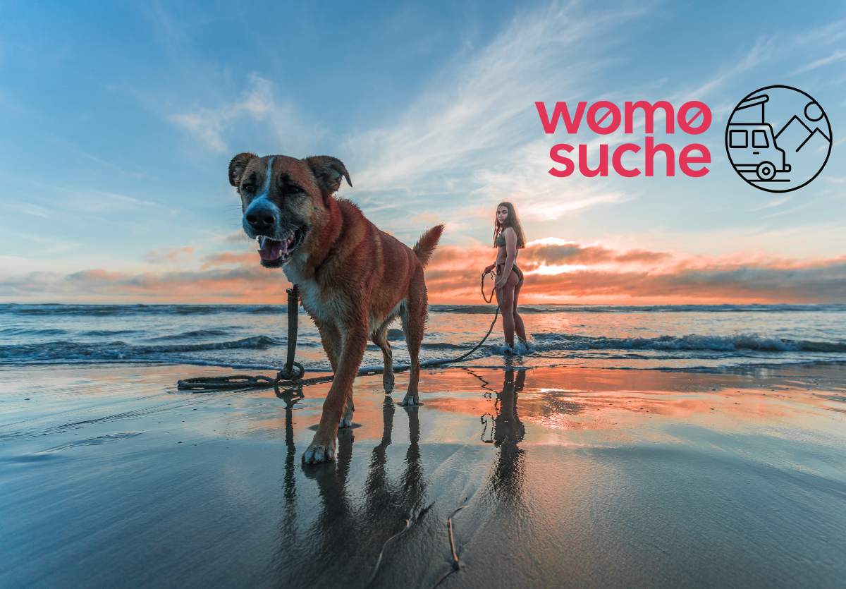 Urlaub mit Hund im Wohnmobil - Reisen mit Haustier